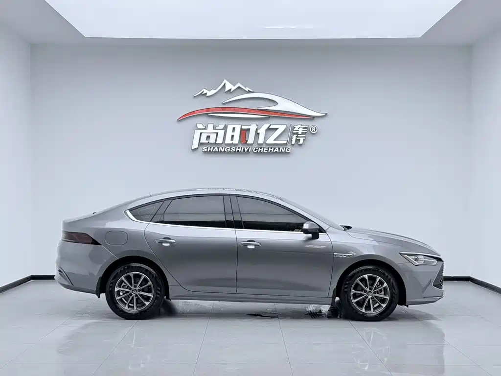 BYD Qin Plus PLUS 2024 DM-i 55KM Lead
