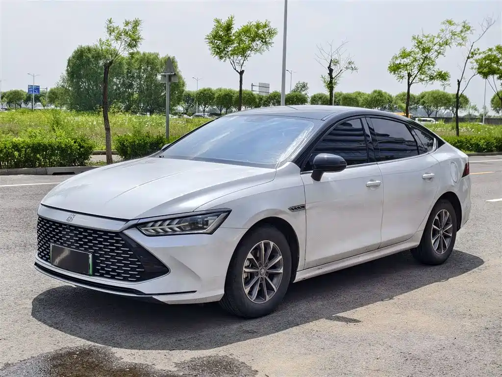 BYD Qin Plus PLUS 2024 DM-i 55KM Lead