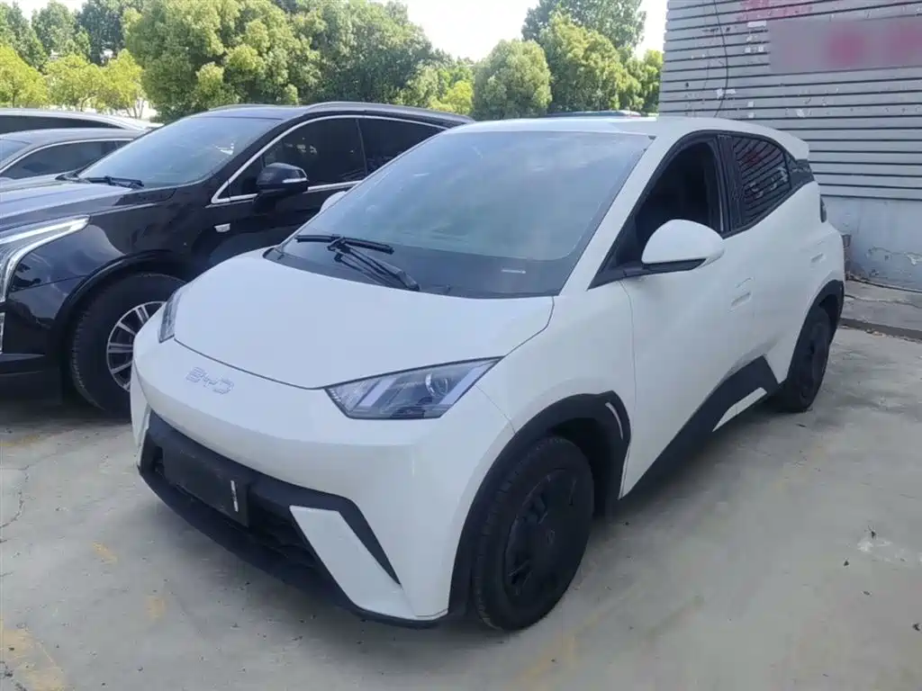 Byd Seagull 2024