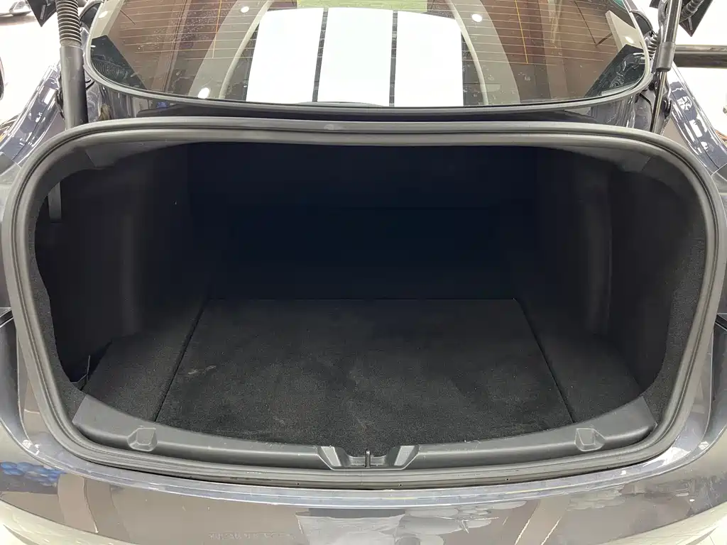 Tesla Model 3 — миниатюра 26