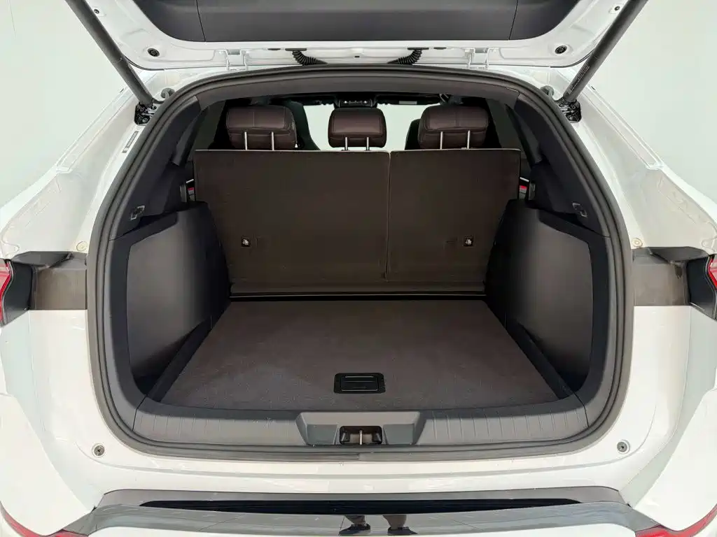 BYD PLUS New Energy — миниатюра 9