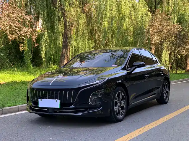 2023 Hongqi E-QM5