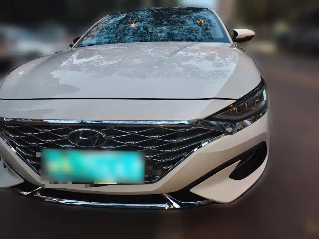 Hyundai Fista — миниатюра 23