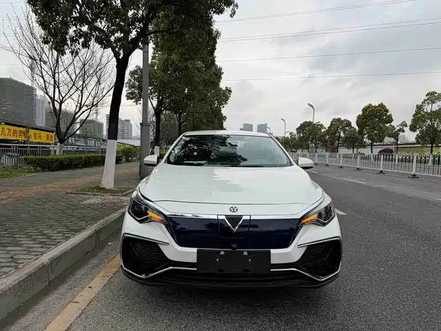 Venucia D60EV