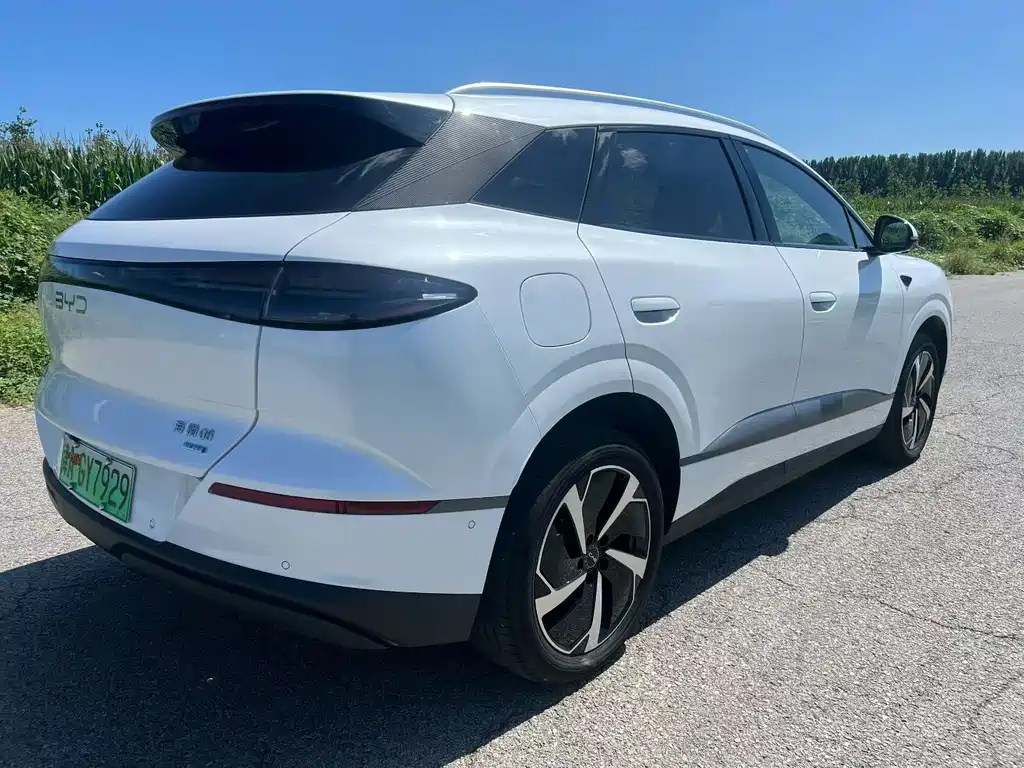 BYD Haisi 06 — миниатюра 4