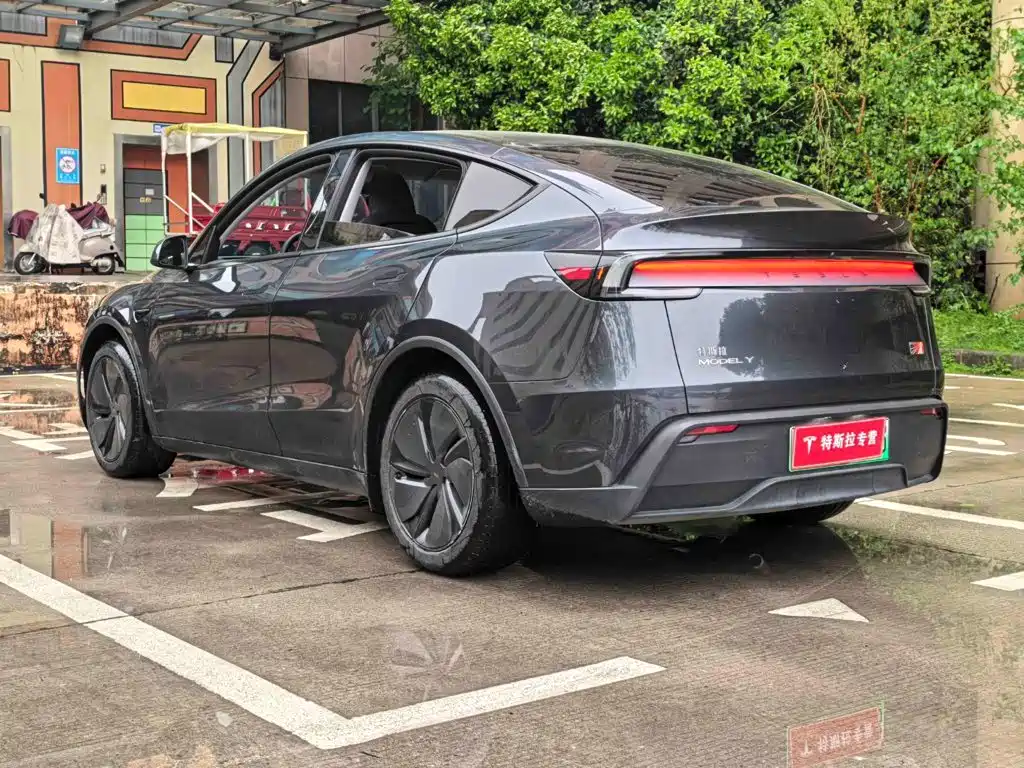 Tesla Model Y — миниатюра 9