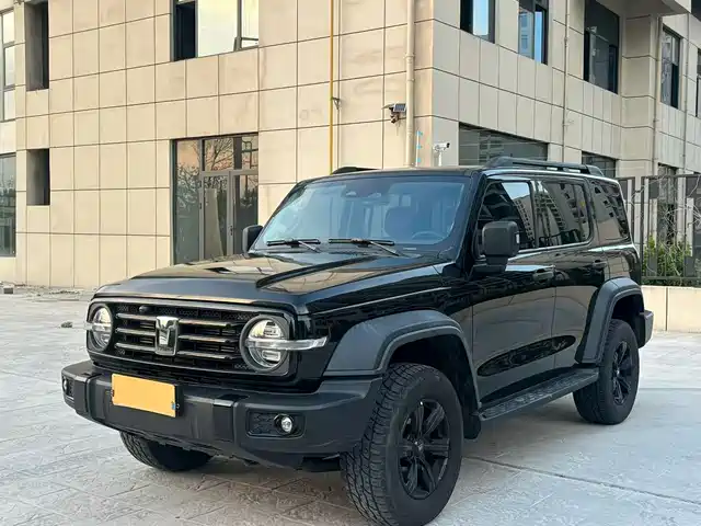 2021 TANK 300