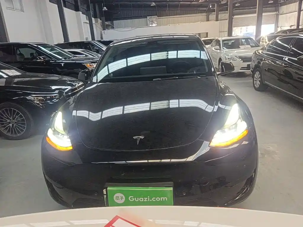 Tesla Model Y — миниатюра 3