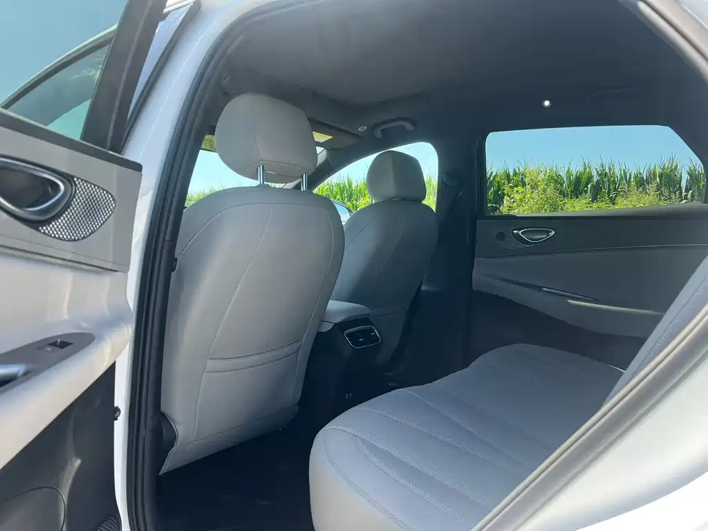 BYD Haisi 06 — миниатюра 7