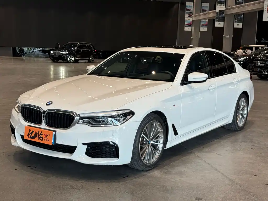 BMW 5 Series (Import) 2019