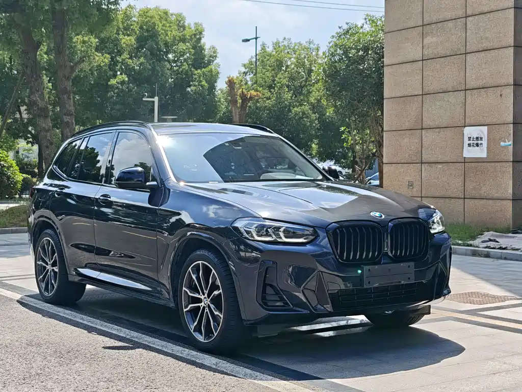 BMW X3 2023 xDrive30i Lead M