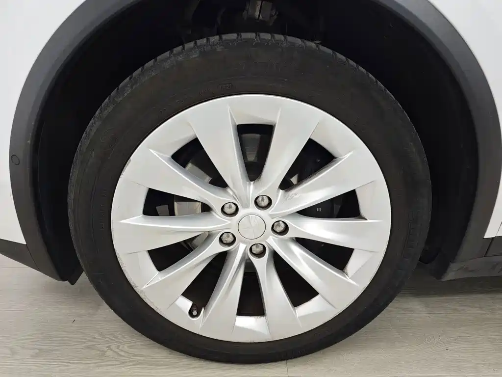 Tesla Model X — миниатюра 48