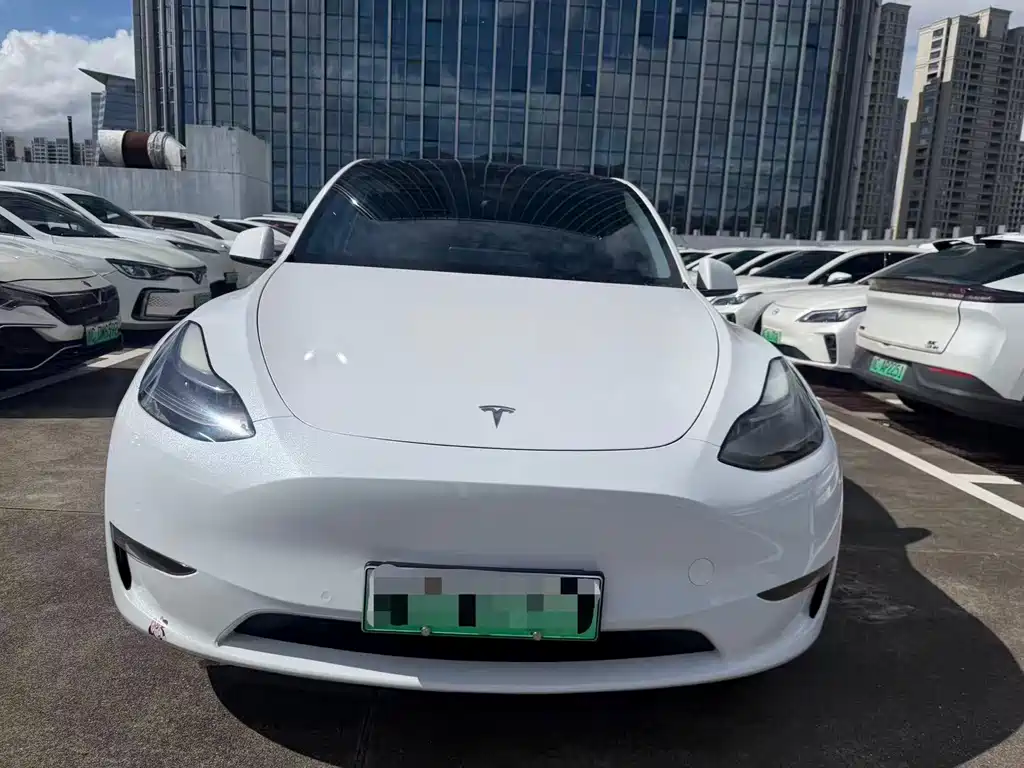 Tesla Model Y — миниатюра 2
