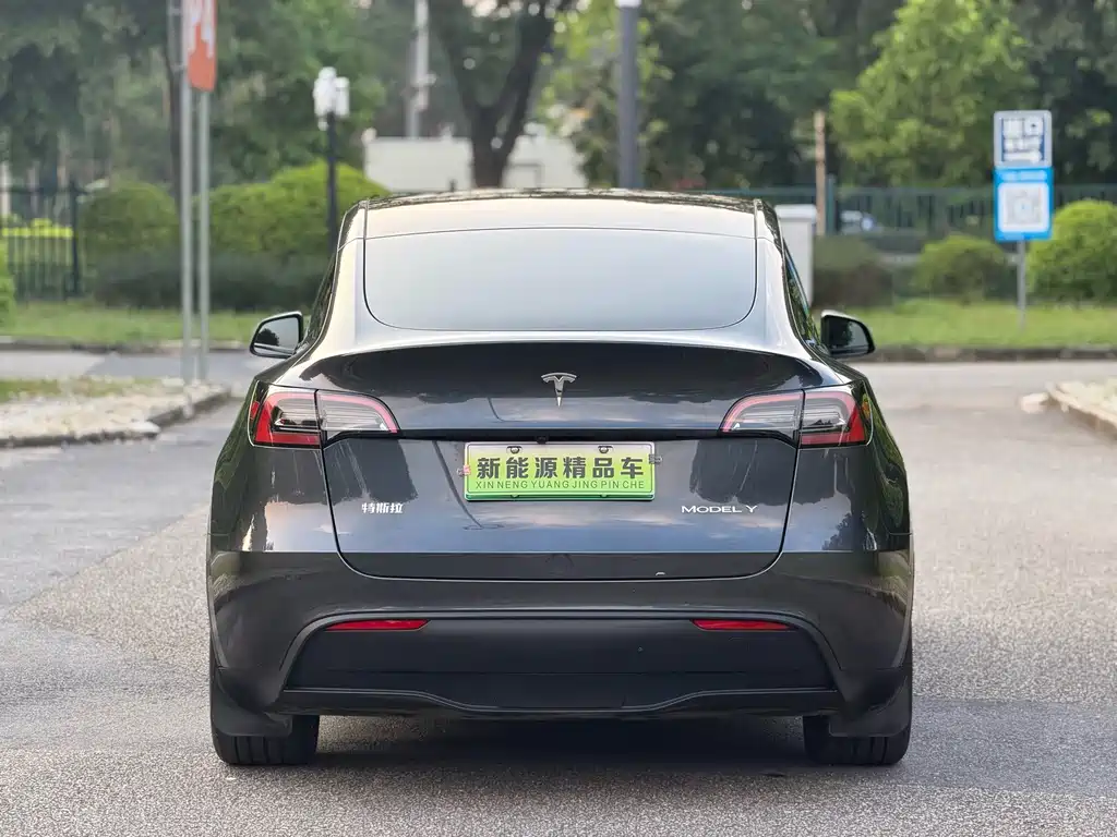 Tesla Model Y — миниатюра 19