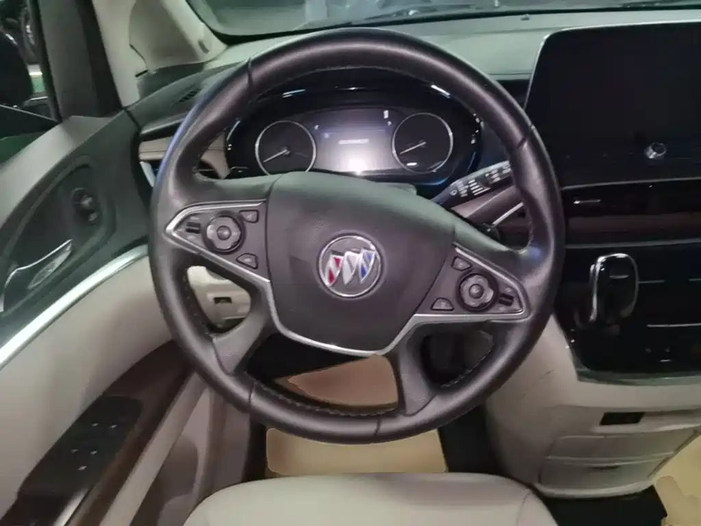 Buick GL8 — миниатюра 11