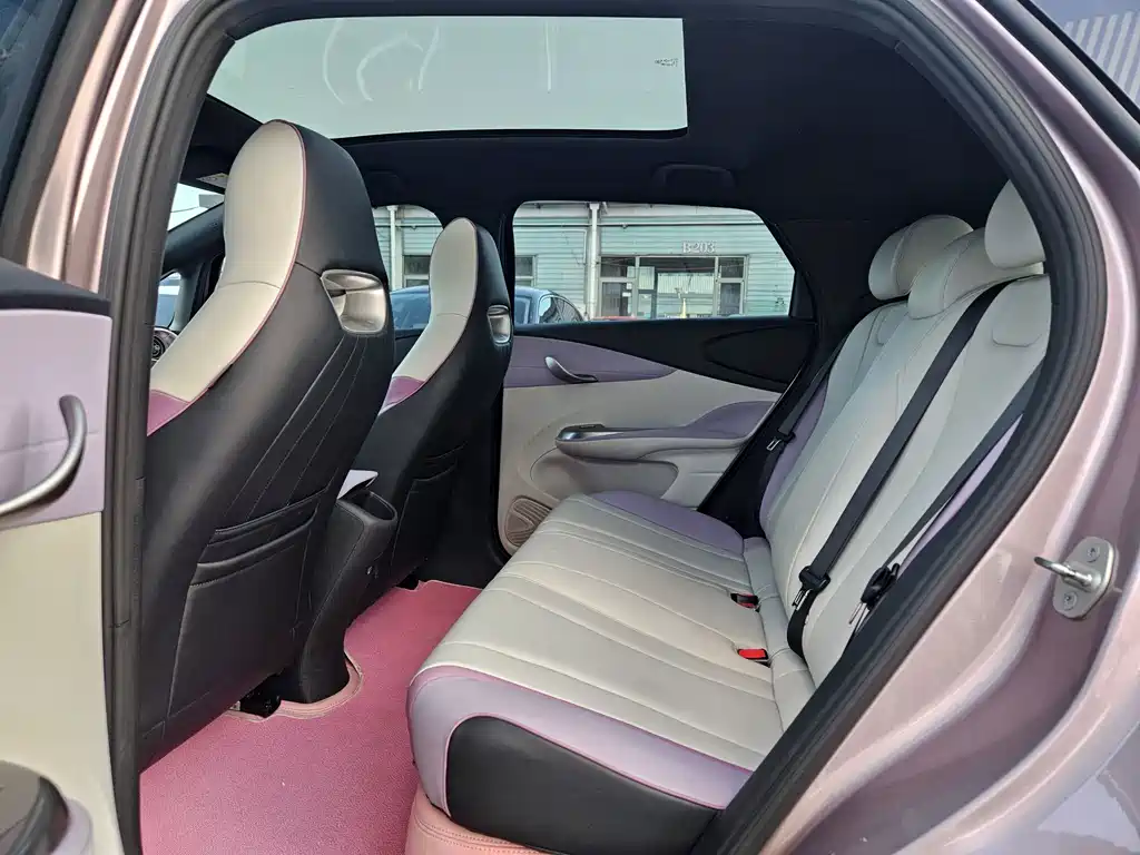 BYD Dolphin — миниатюра 9