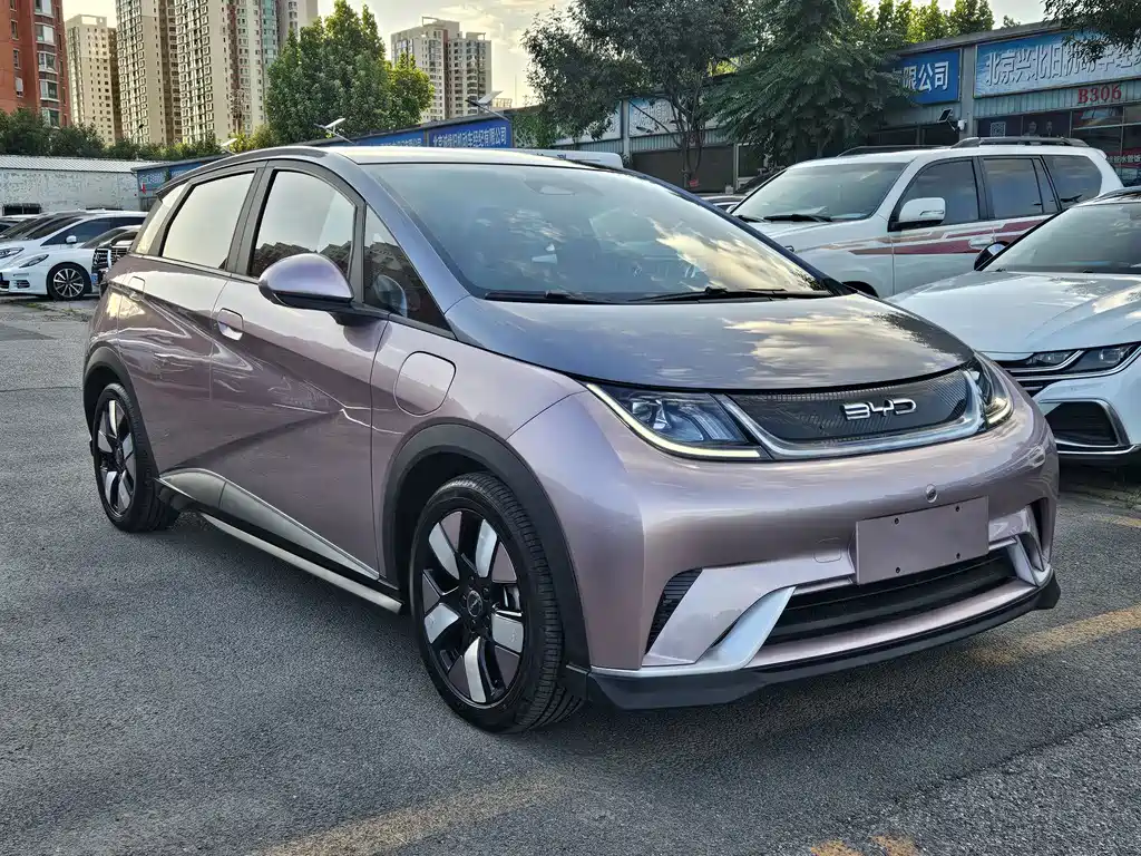 BYD Dolphin — миниатюра 2