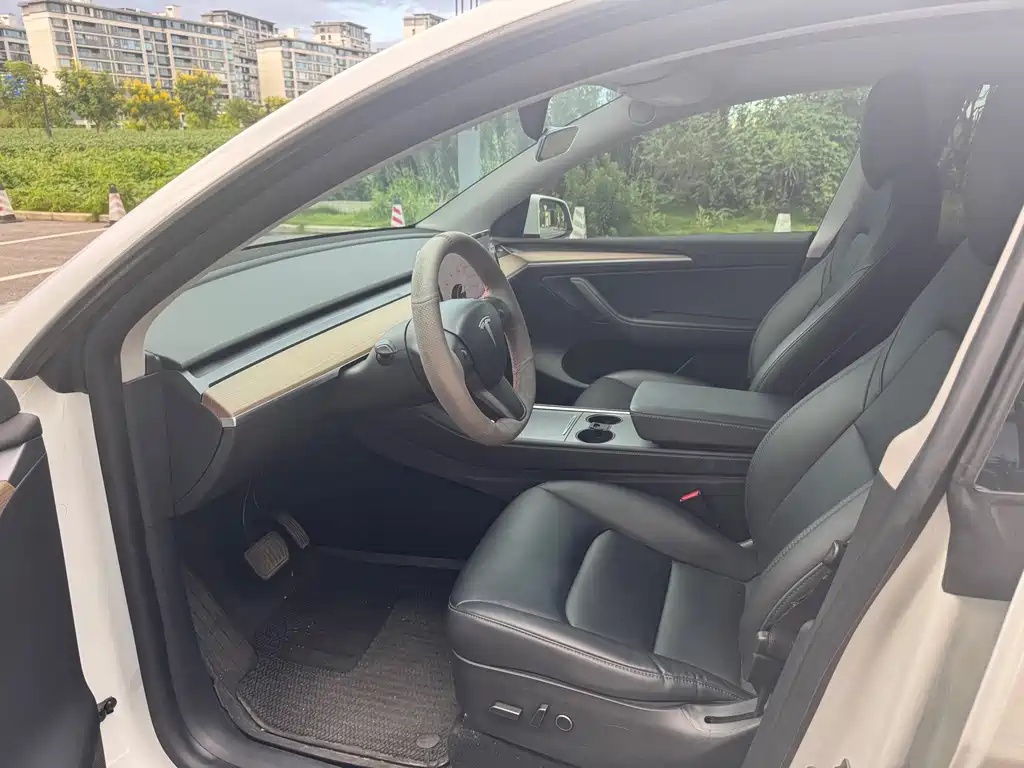 Tesla Model Y — миниатюра 7