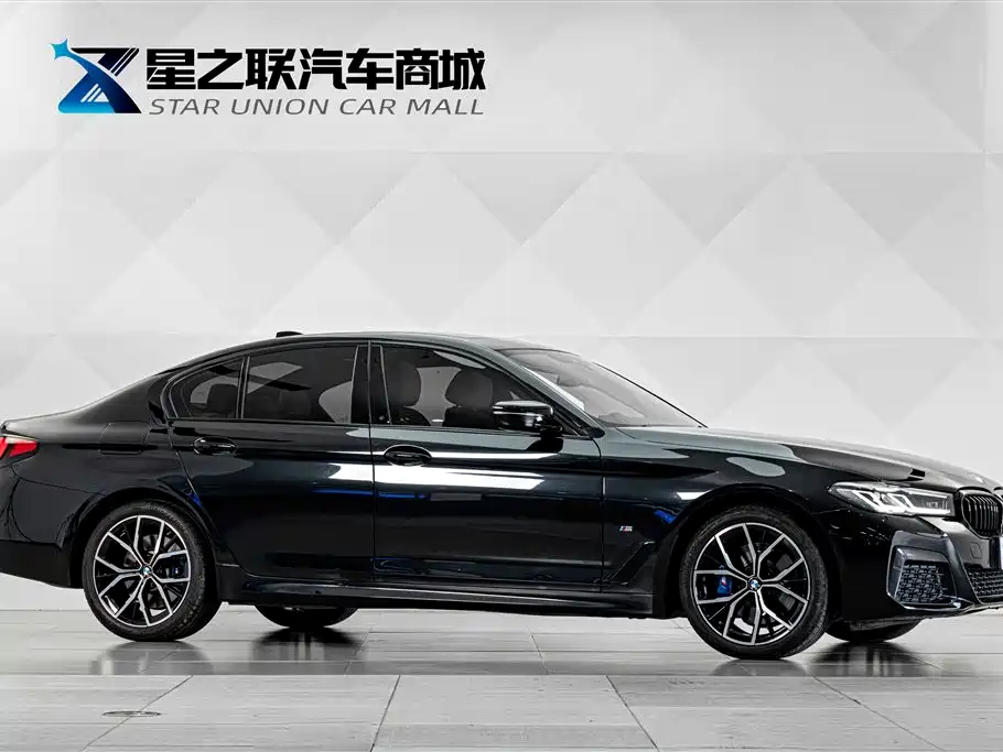 BMW 5 Series (Import) — миниатюра 5