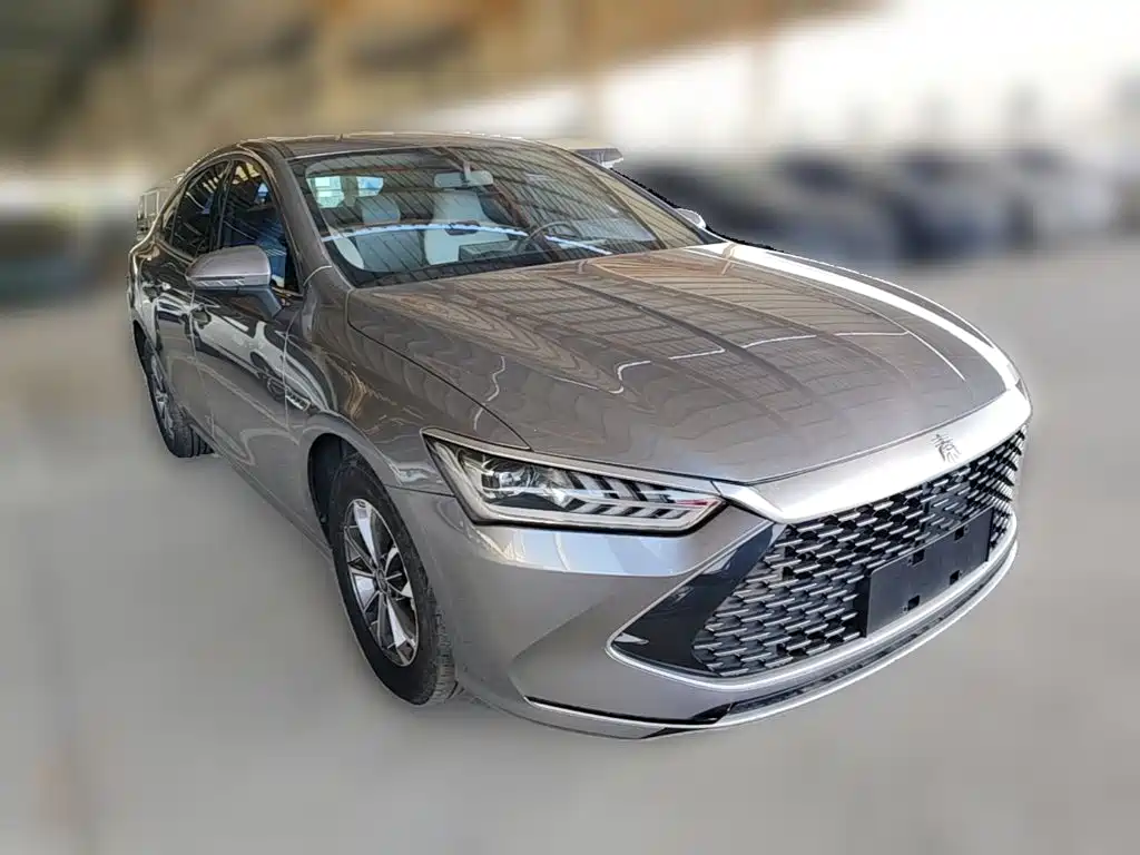 BYD Qin Plus PLUS 2023 Champion DM-i 55KM Lead