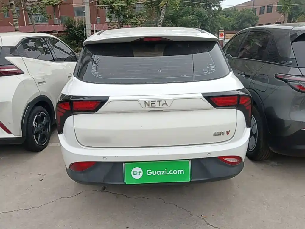 Neta Neta V — миниатюра 6