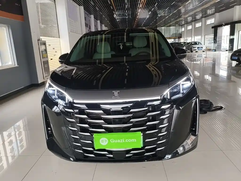 BYD Xia — миниатюра 3