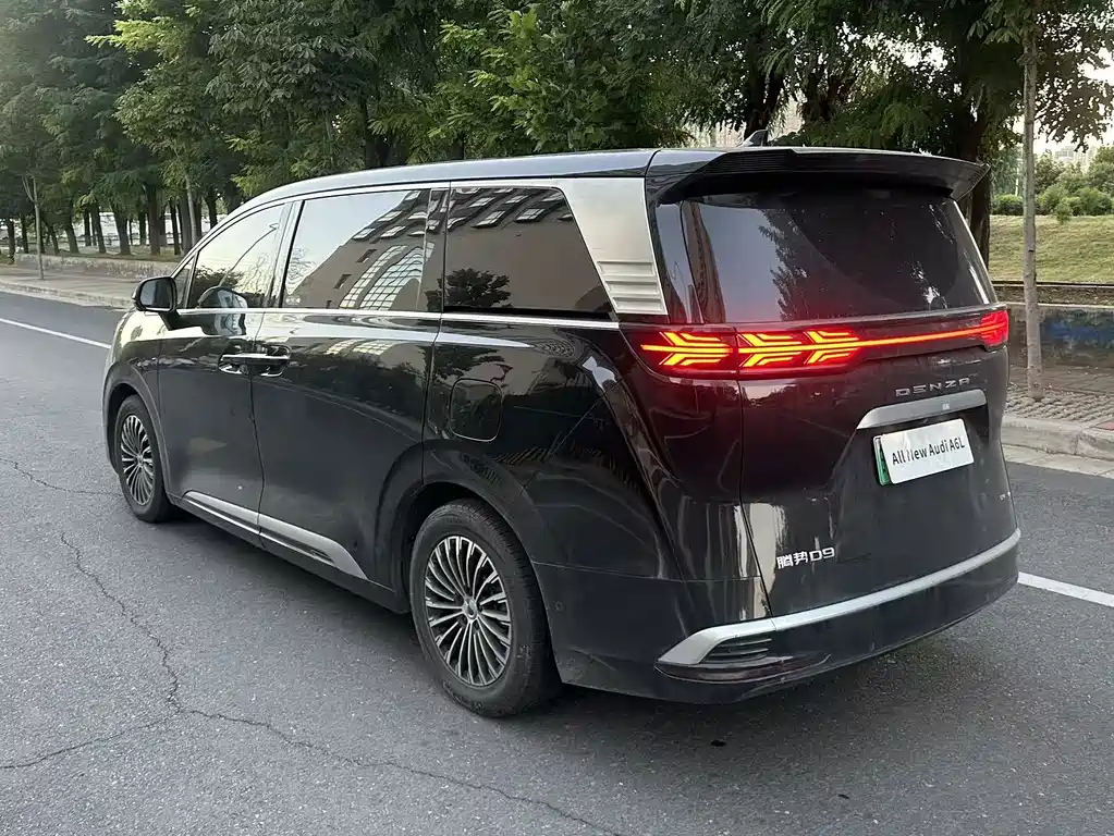 Denza Denza D9 — миниатюра 7