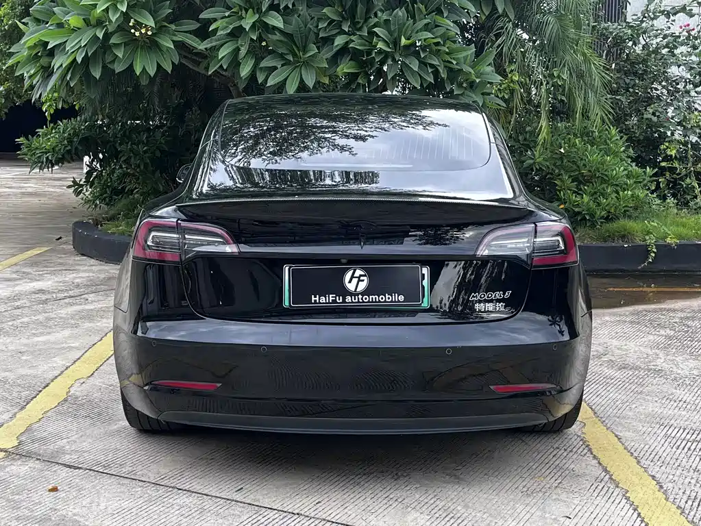 Tesla Model 3 — миниатюра 5