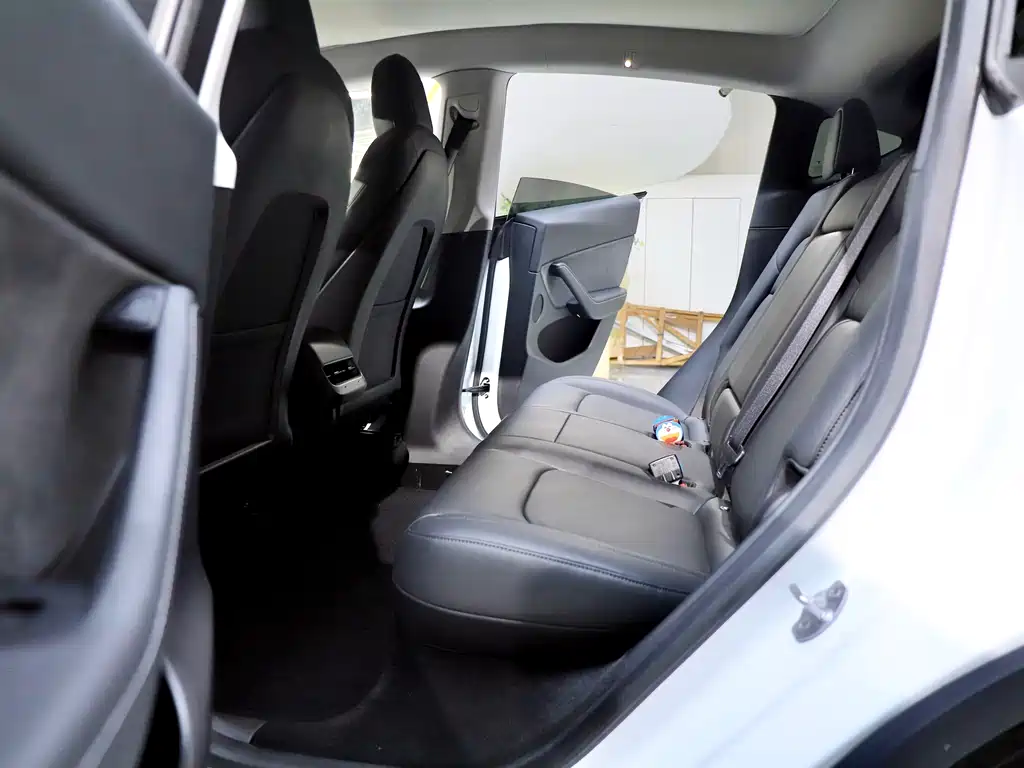Tesla Model Y — миниатюра 13