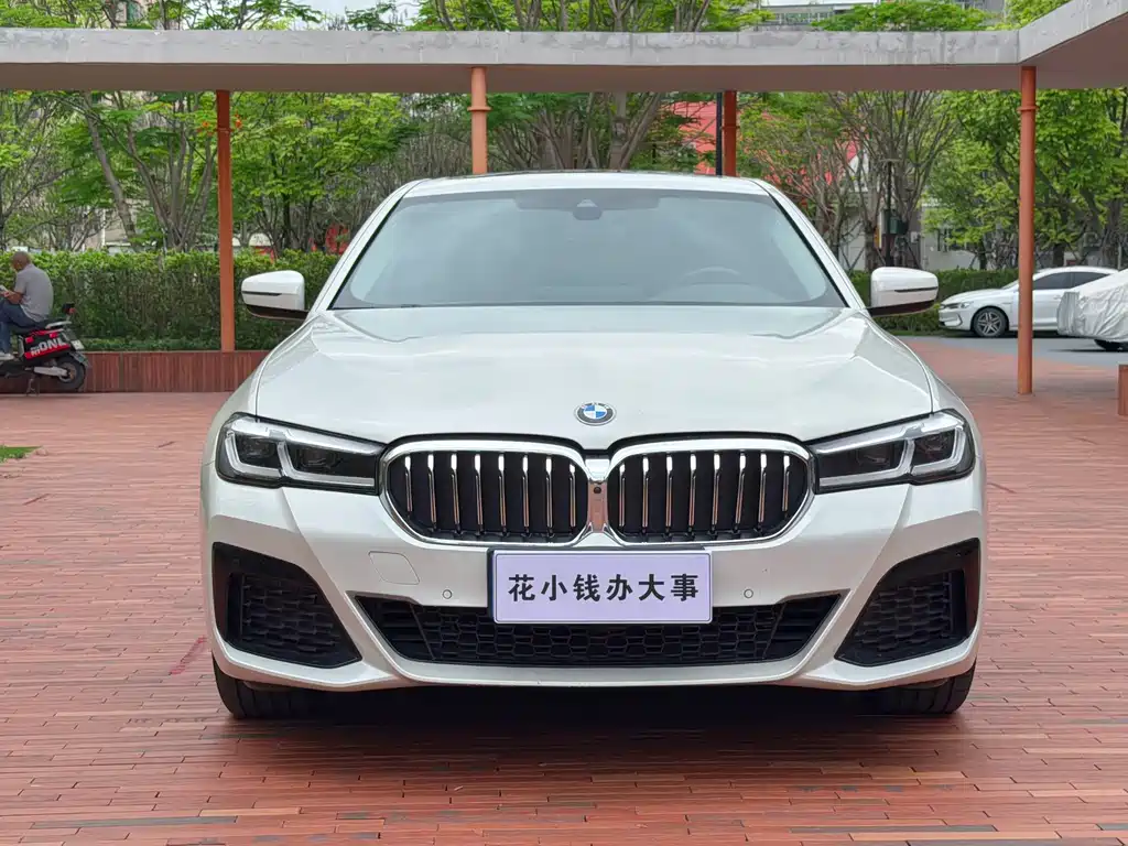 BMW 5 Series 5 2022 530Li Premium Luxury