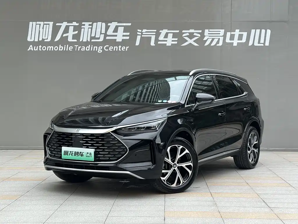 Byd Tang New Energy 2026