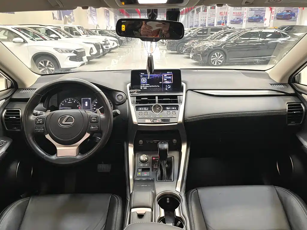 LEXUS NX