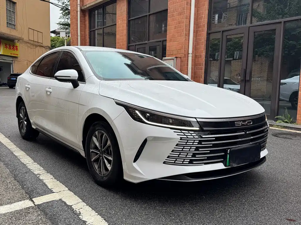 BYD Destroyer 05 — миниатюра 2