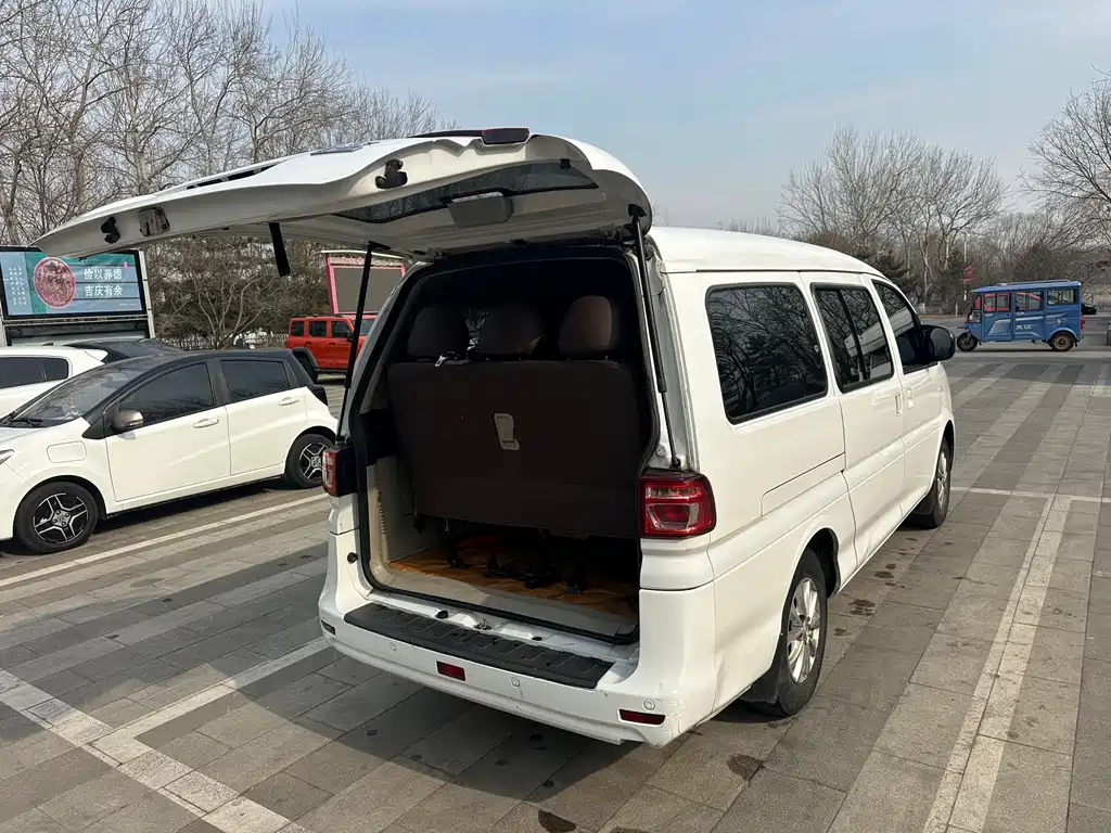 DONGFENG LINGZHI NEW ENERGY