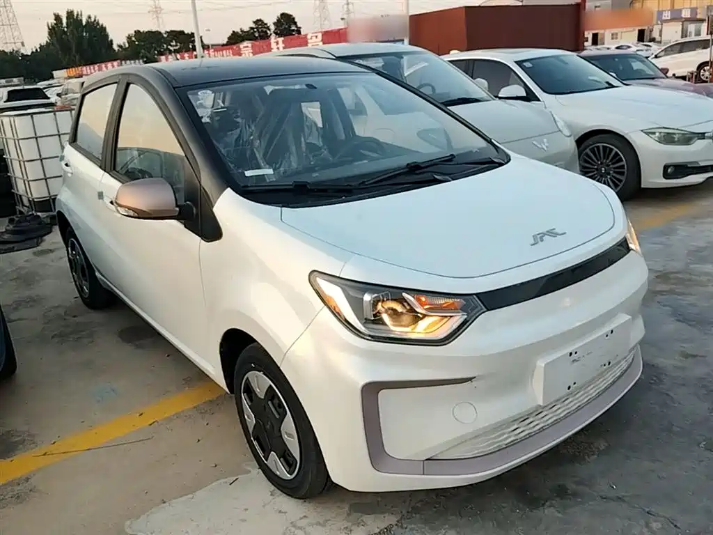 JAC Flower Fairy 2024 301km Lite