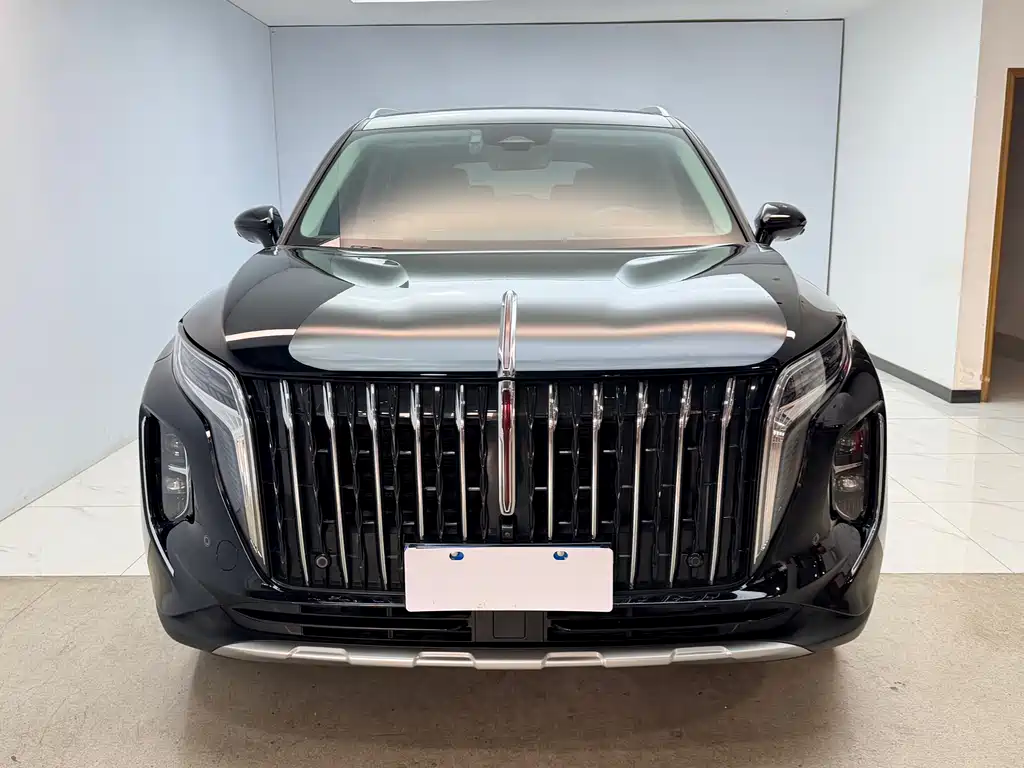 Hongqi HONGQI HS7