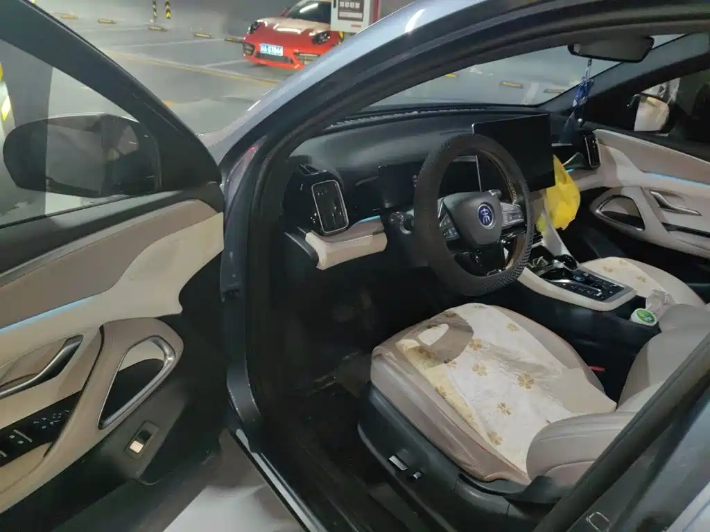 BYD Pro New Energy — миниатюра 17