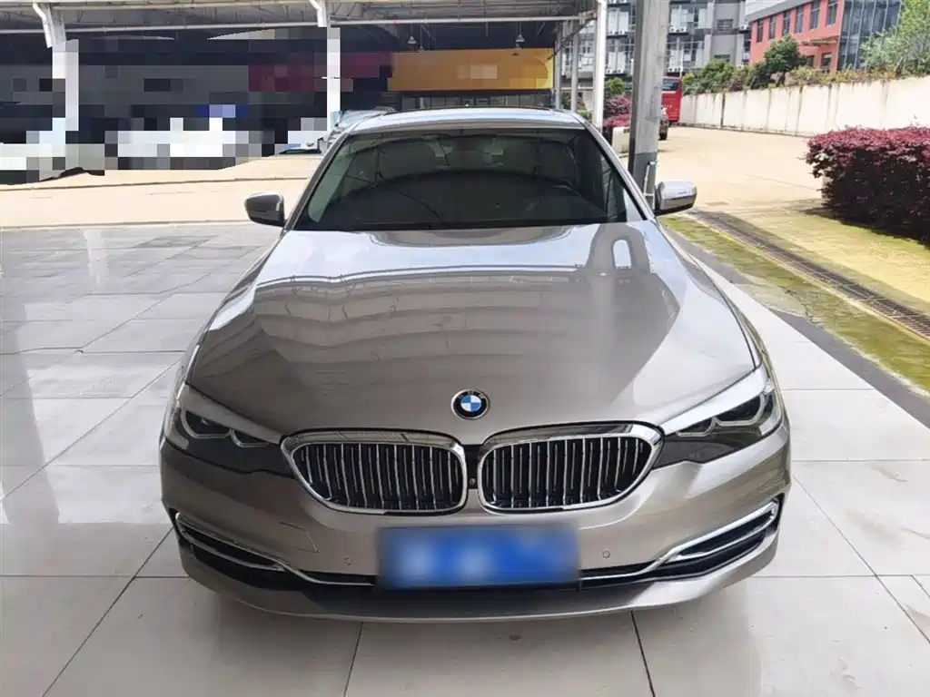 BMW 5 Series 5 2019 525Li Luxury
