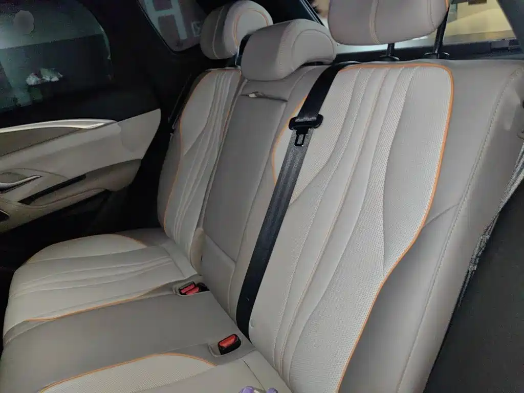 BYD Pro New Energy — миниатюра 18