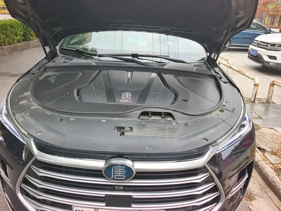 BYD Tang New Energy — миниатюра 10