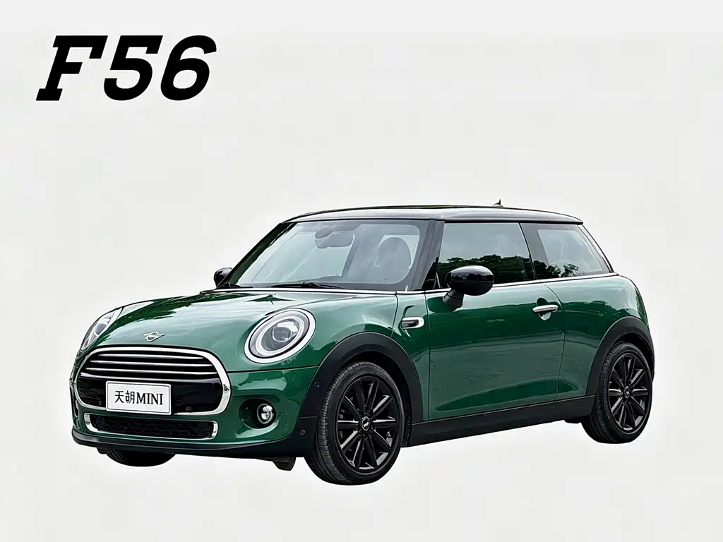 Mini Mini 2020