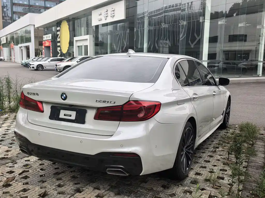 BMW 5 Series 5 2020 530Li Premium M Sport
