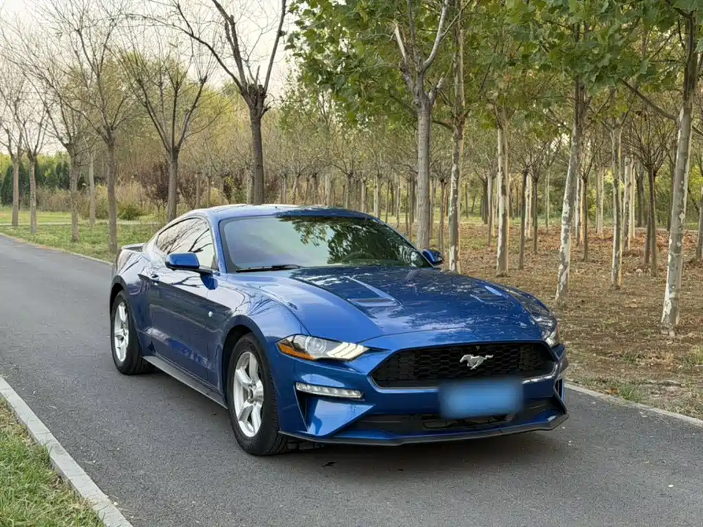 Ford Mustang — миниатюра 4