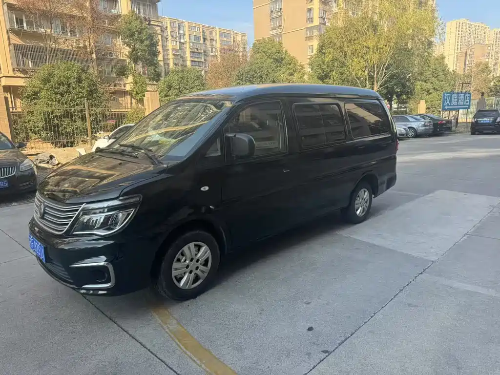 Fengxing Lingzhi 2019