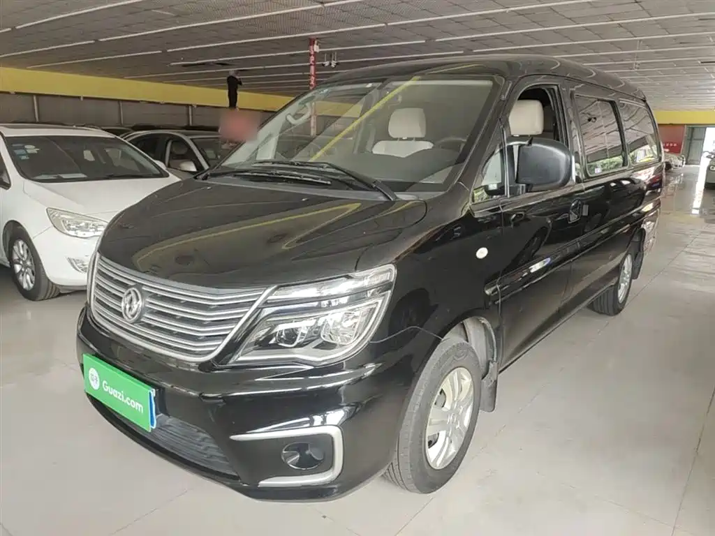 Fengxing Lingzhi 2020