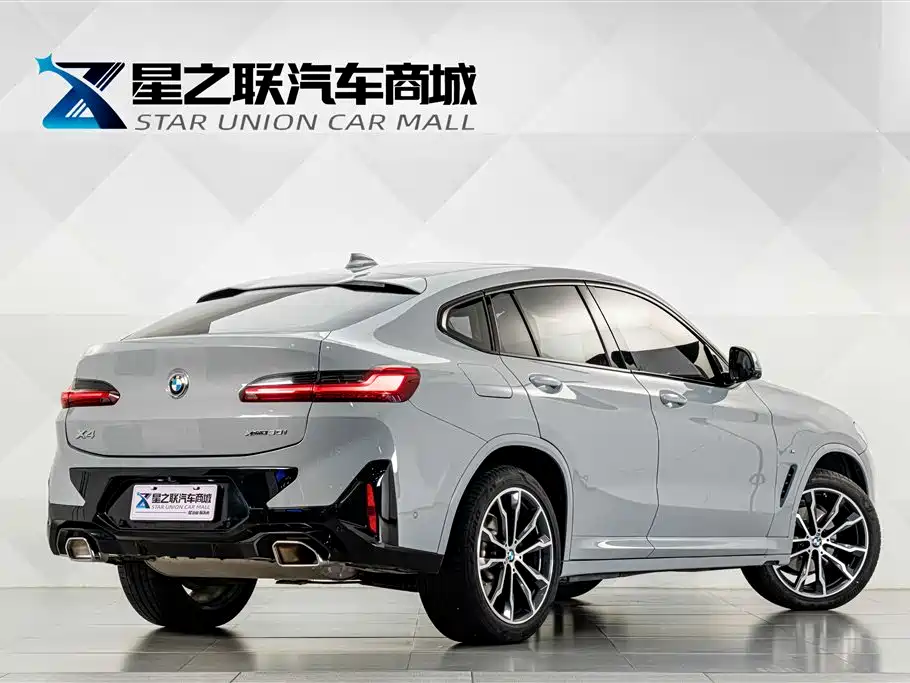 BMW X4 — миниатюра 6