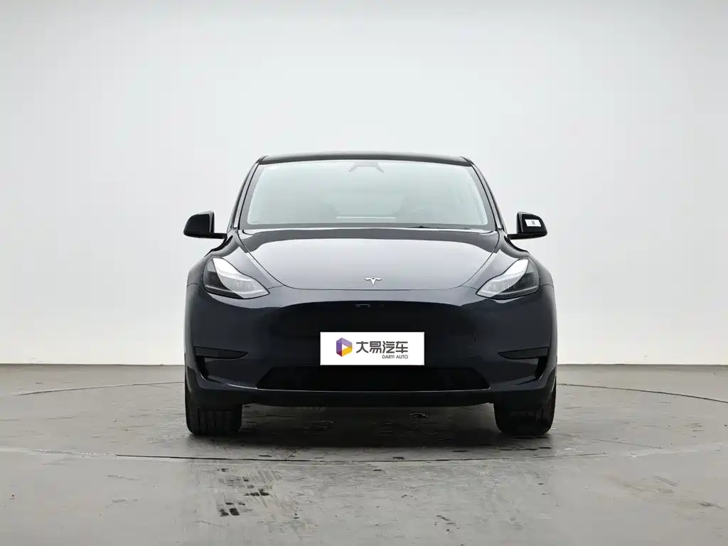 Tesla Model Y — миниатюра 2