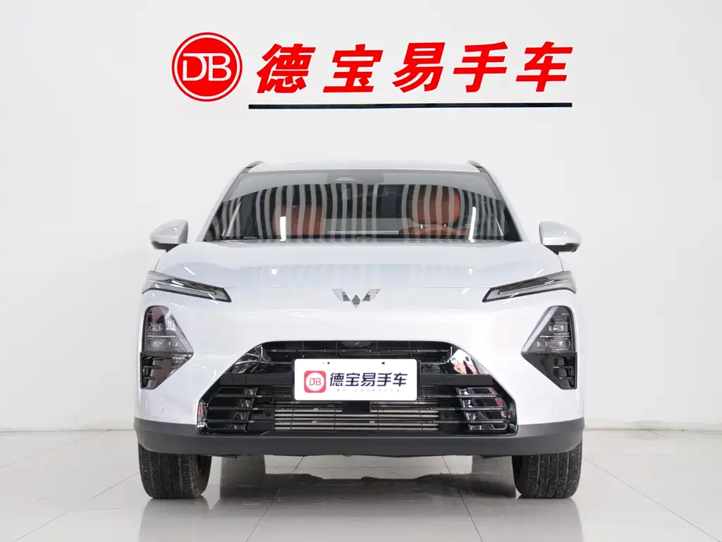 WULING WULING XINGGUANG S