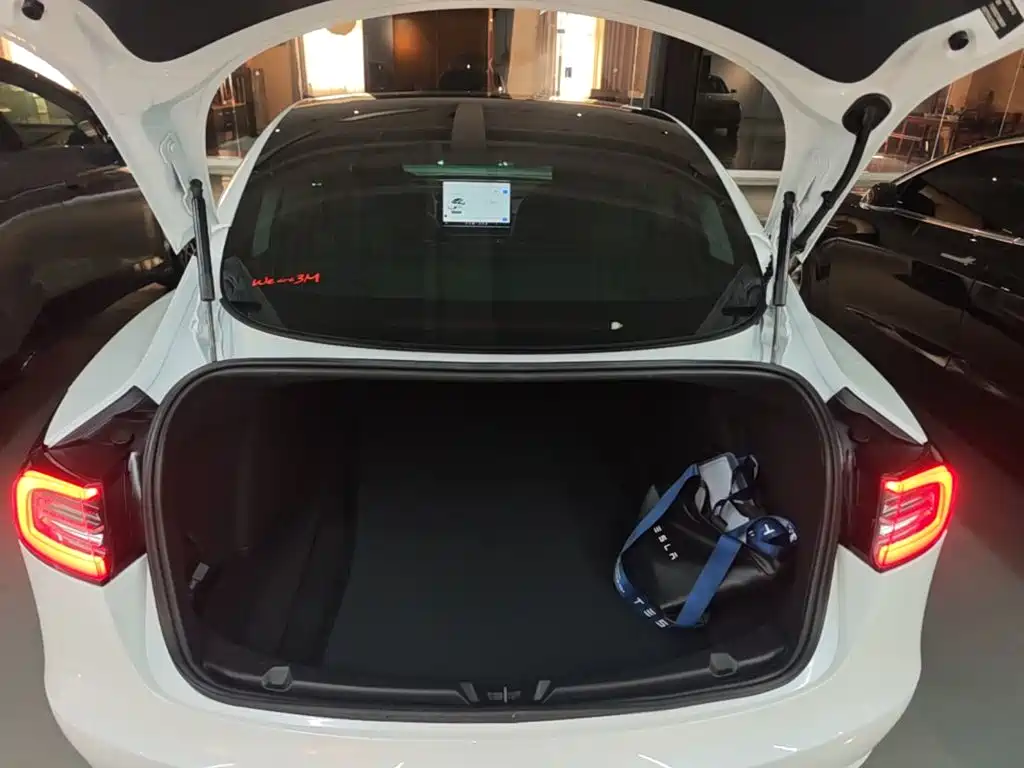Tesla Model 3 — миниатюра 19