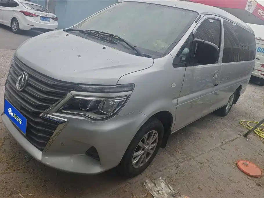 Fengxing Lingzhi 2020